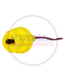 SOQUET PELLIZCO LATERAL FORD      CODIGO 11312