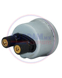 BULBO ACEITE  ELECTRICO 2PIN  05896     GENERICO    CODIGO 19065T