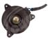 MOTOVENTILADOR TOYOTA CAMRY COROLLA HONDA ACCORD ACURA AVALON  95/99  S M2010 2PIN   CODIGO 42410