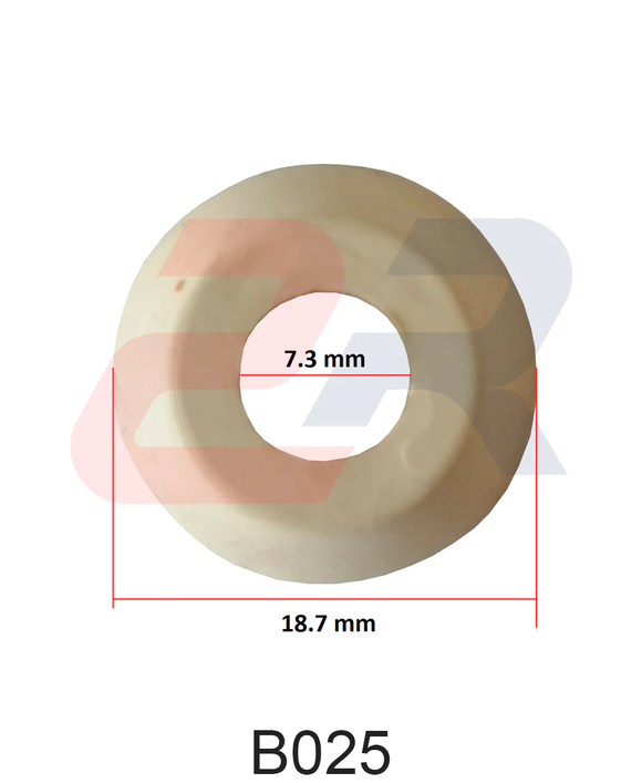 SERVICIO DE LAVADO DE INYECTORES CON ULTRASONIDO TIPO GDI  FSI SELLO ASIENTO GM CODIGO B025